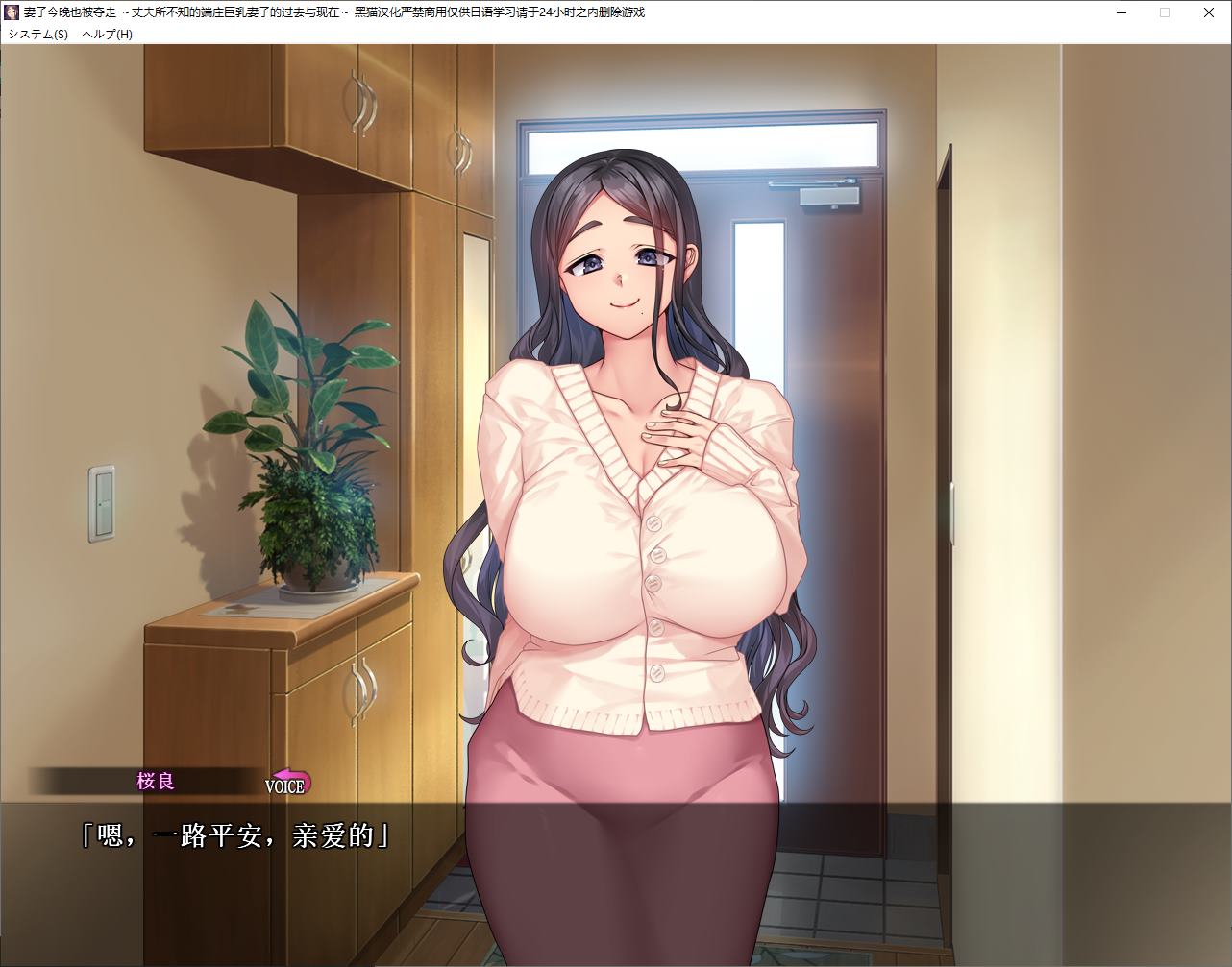 图片[2]-【绿色ADV/汉化】妻子今晚也被夺走 ～丈夫所不知的端庄巨乳妻子的过去与现在 机翻汉化版-糯五游戏网