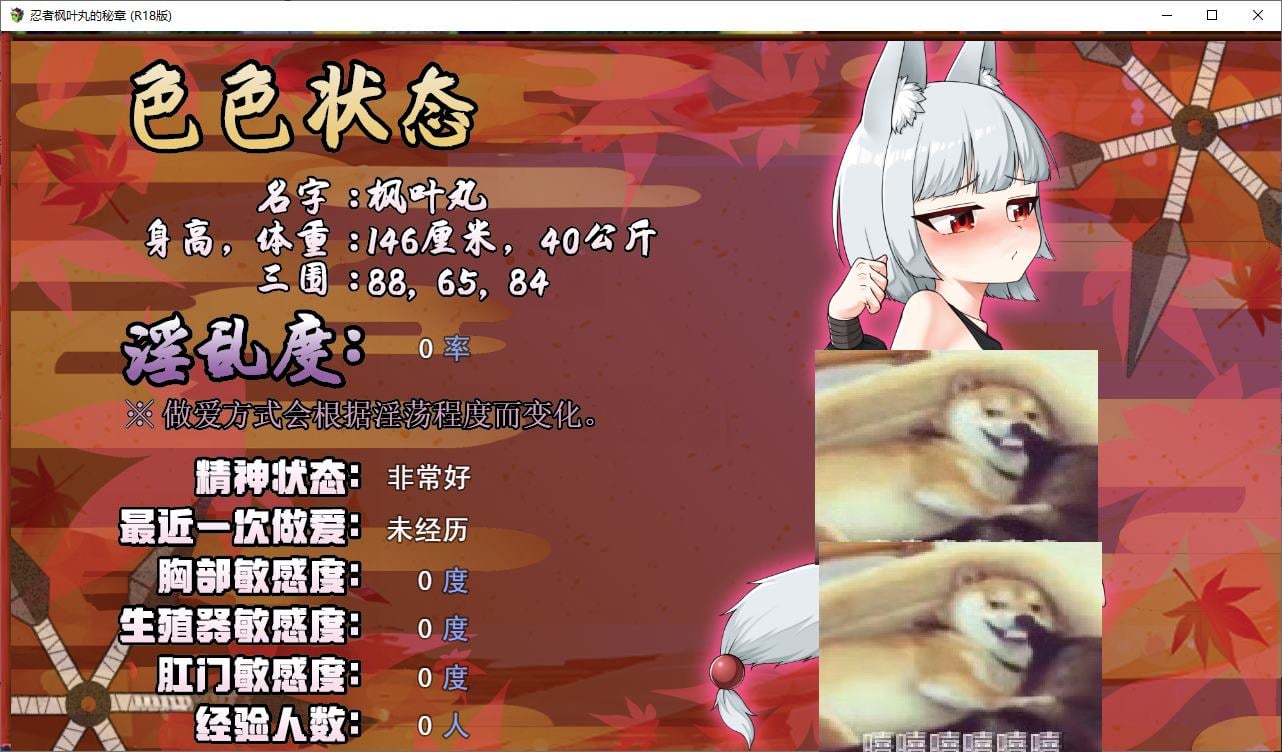 图片[3]-【日式ARPG/中文】忍者枫叶丸的秘章 官中步兵版-糯五游戏网
